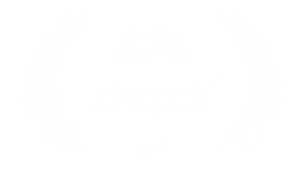 CPH:DOX 2017